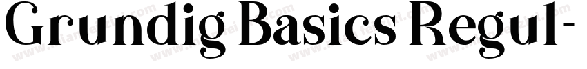 Grundig Basics Regul字体转换